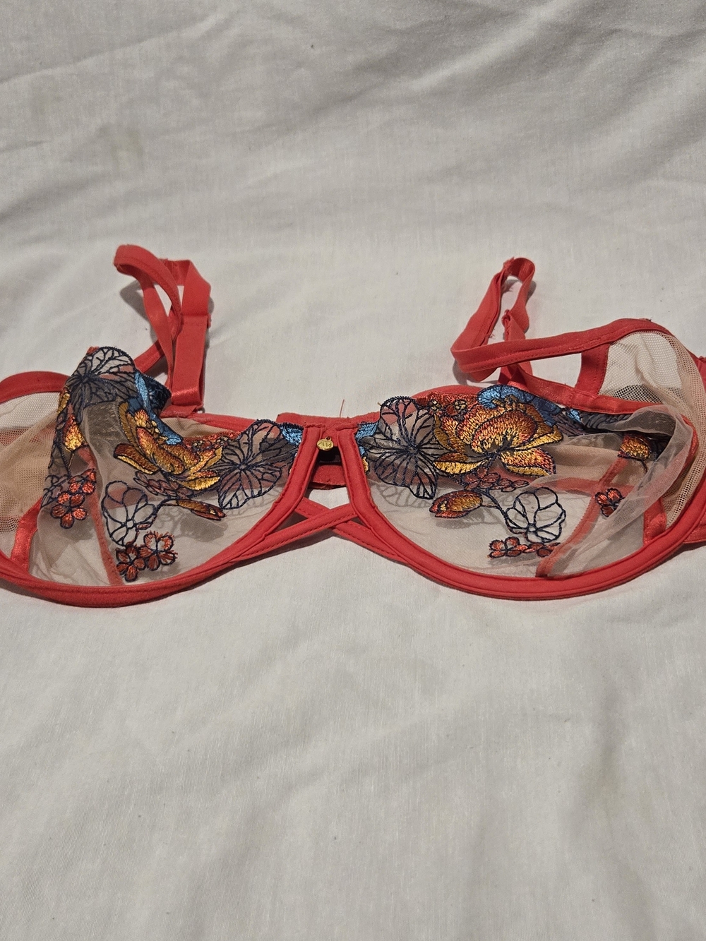 Sheer Embroidered Floral Underwire Bra - Coral 38DDD